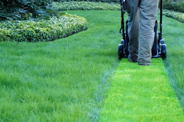 grass-cutting-tips-and-tricks